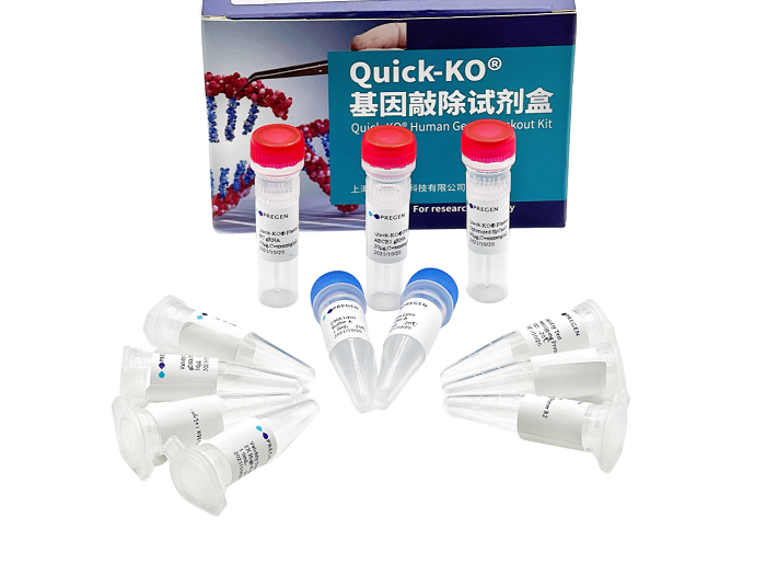 Quick KO® 基因敲除试剂盒